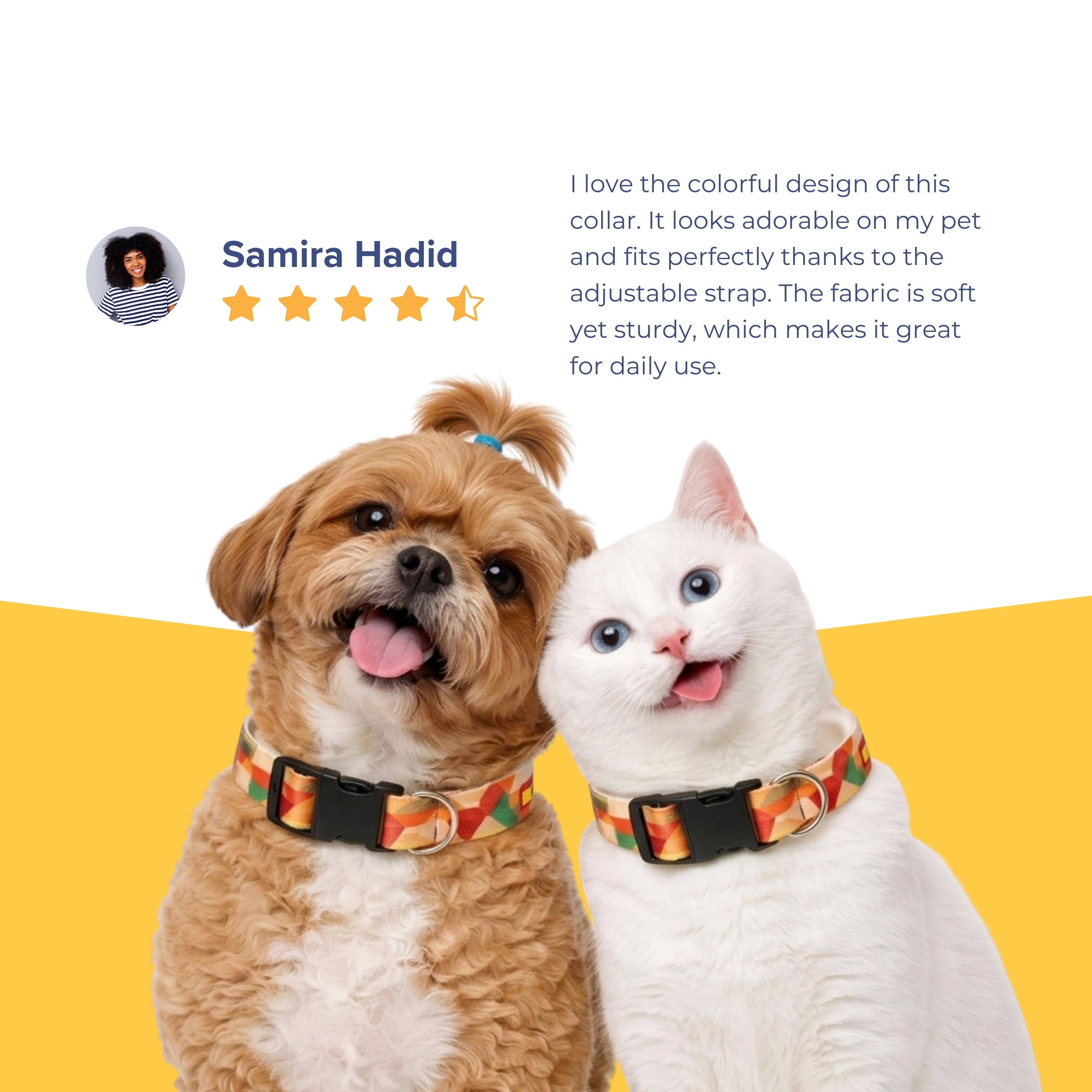Sunset Collar & Matching Leash