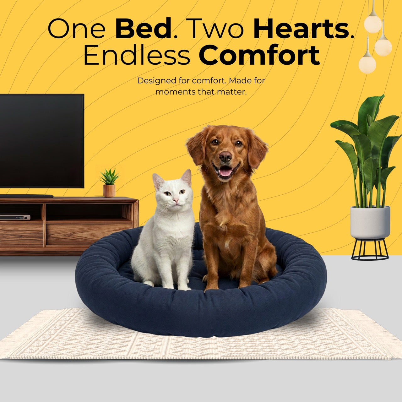 Everyday Comfort Bed