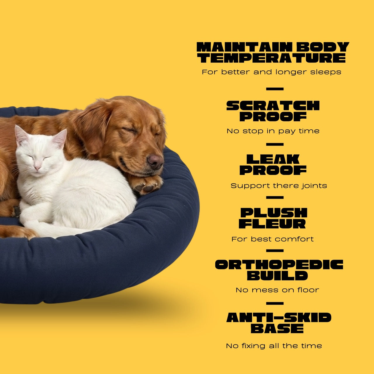 Everyday Comfort Bed