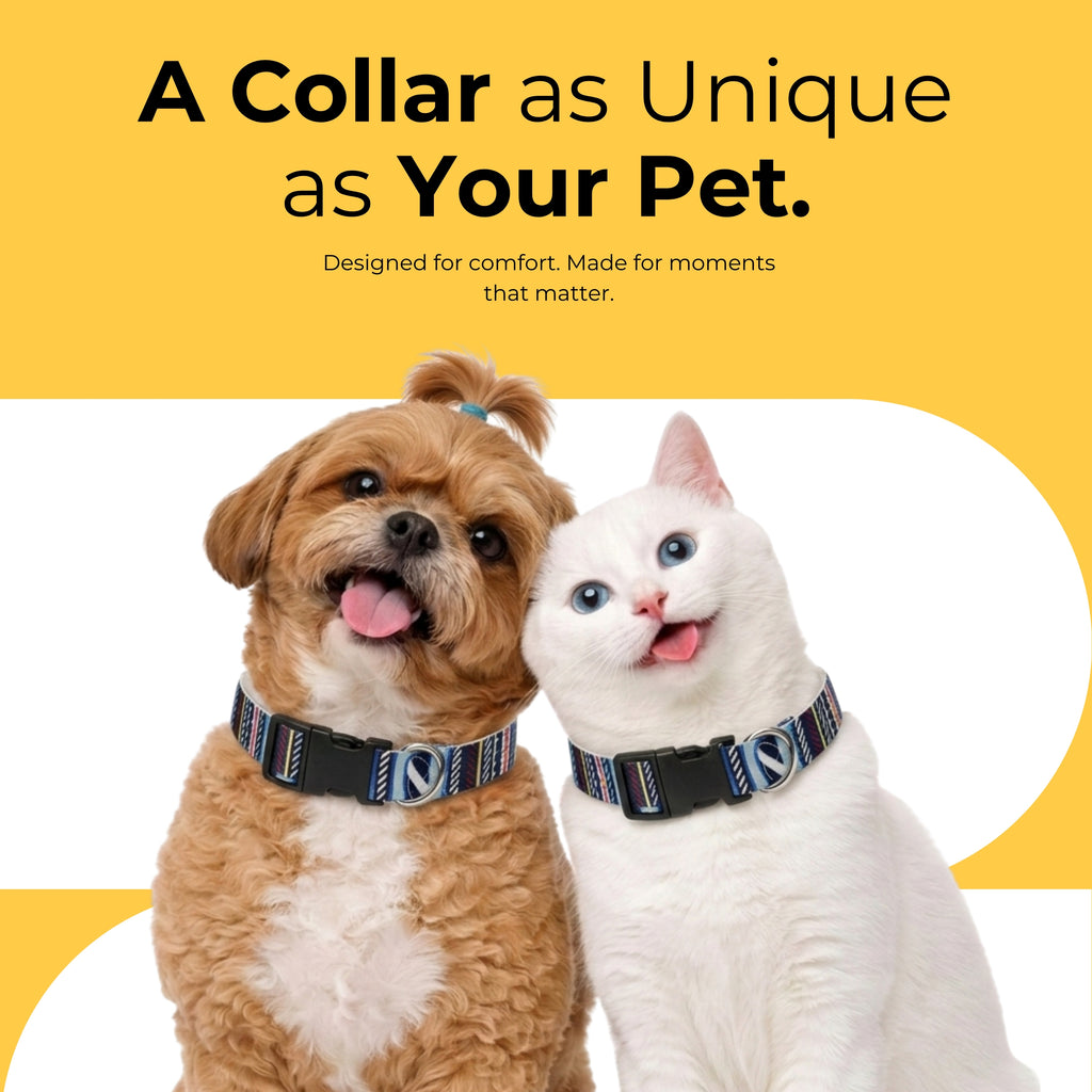 TrailWeave Collar & Matching Leash