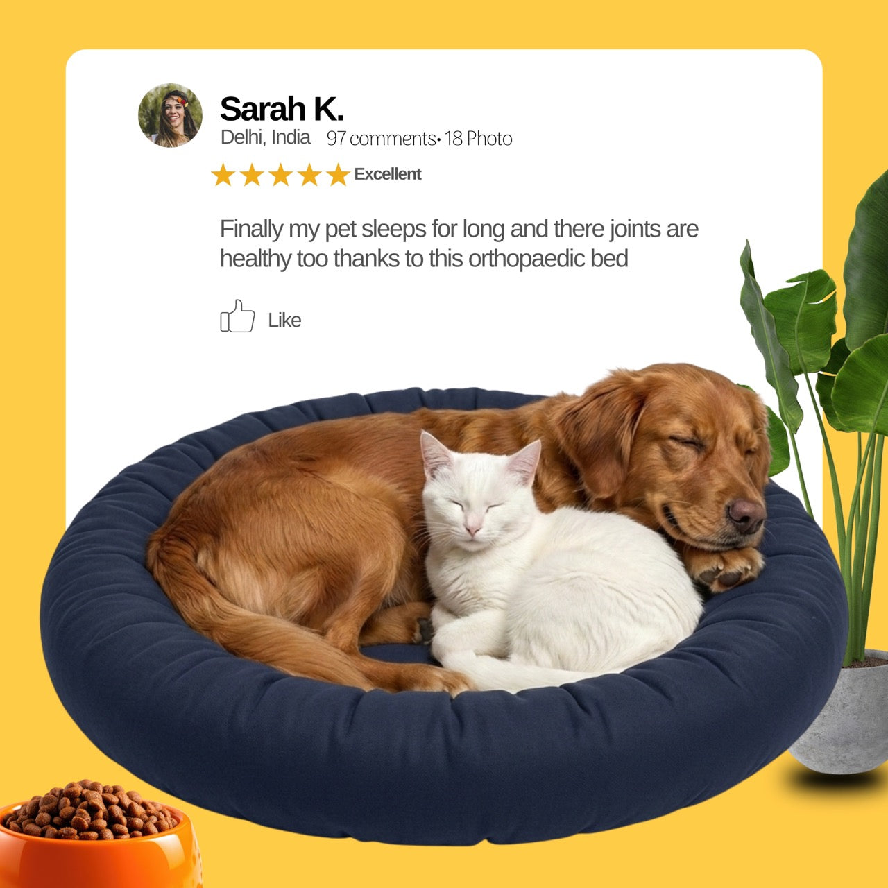 Everyday Comfort Bed