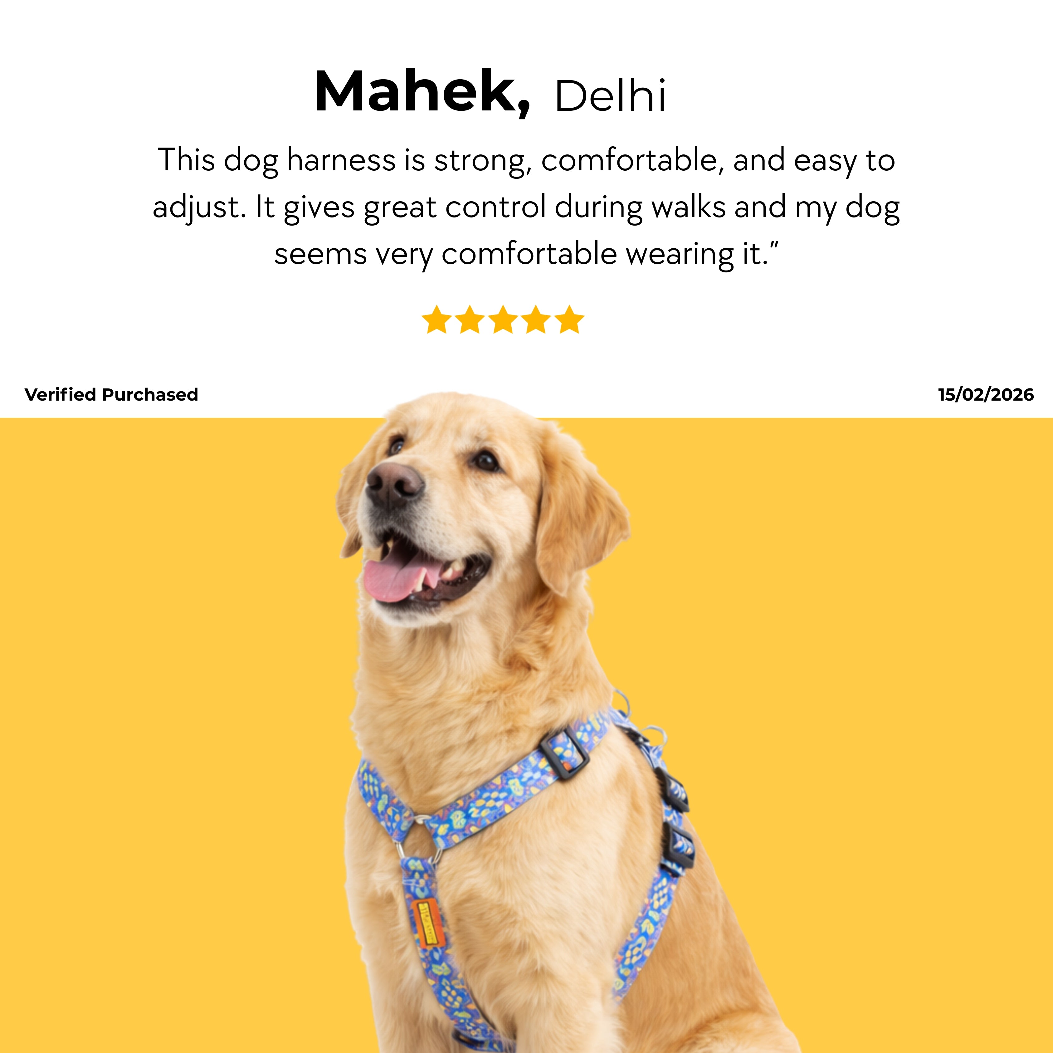 Artisan Blue Harness & Matching Leash