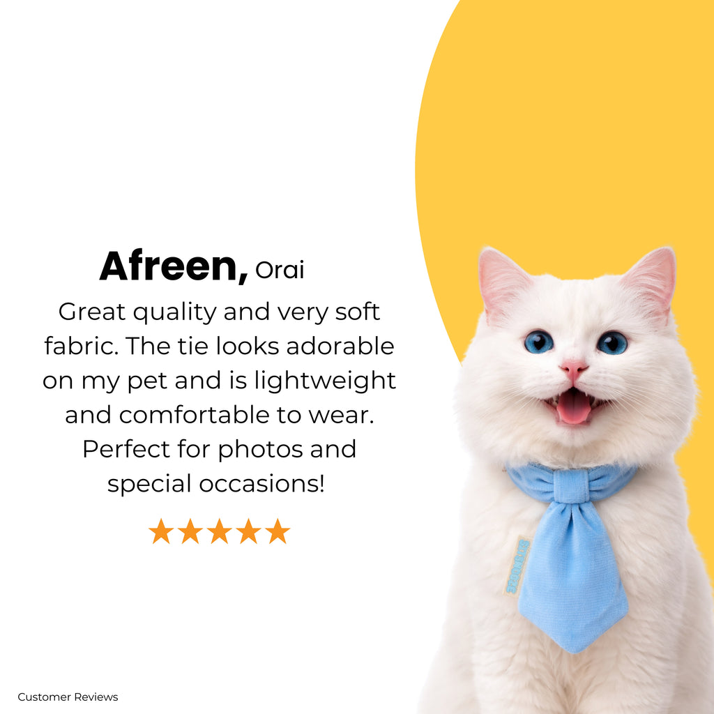 Classic Bow Tie For Dogs