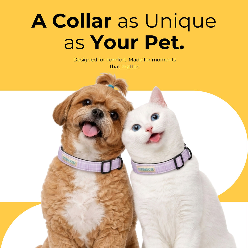 CoolPaws Cooling Collar &amp; Matching Leash