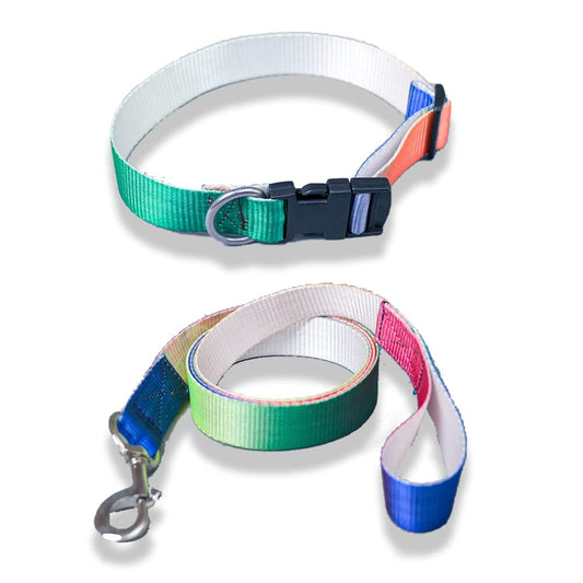 Tricolor Collar and Leash Dog Set