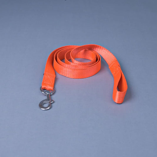 Orange Trendy Nylon Leash with Strong Metallic Hook for Dogs