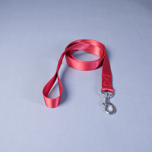 Red Trendy Nylon Leash with Strong Metallic Hook for Dogs