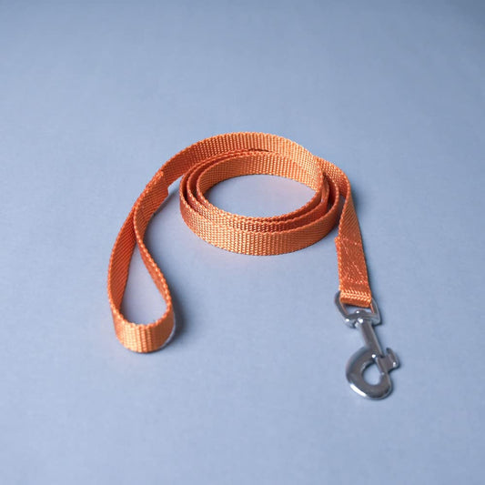 Orange Trendy Nylon Leash with Strong Metallic Hook for Dogs