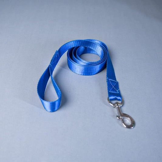 Blue Trendy Nylon Leash with Strong Metallic Hook for Dogs