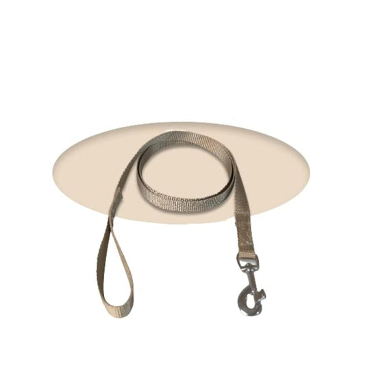 Golden Trendy Nylon Leash with Strong Metallic Hook for Dogs