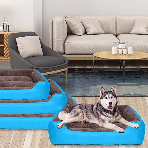 Sky Blue Rectangle Shape Extra Soft Orthopedic Dog Bed