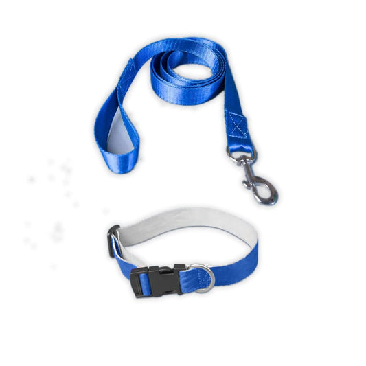 Blue Collar and Leash Dog Set
