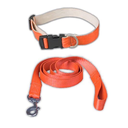 Orange Collar and Leash Dog Set