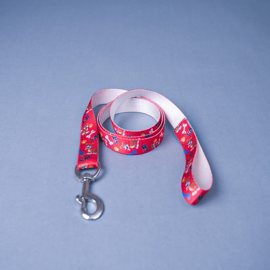 Red Mix Trendy Nylon Leash with Strong Metallic Hook for Dogs