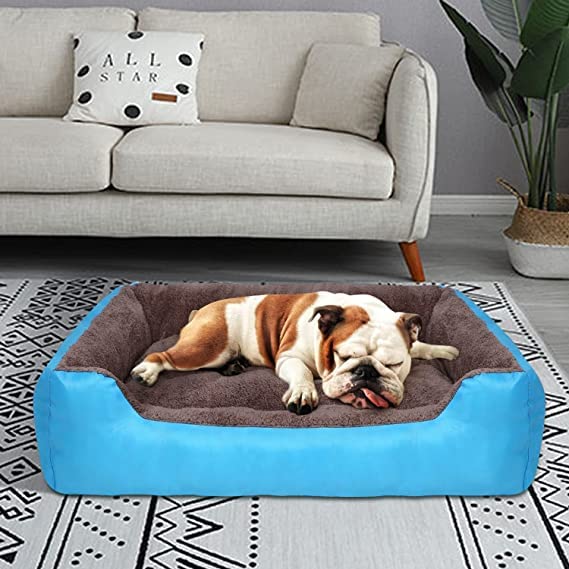Sky Blue Rectangle Shape Extra Soft Orthopedic Dog Bed