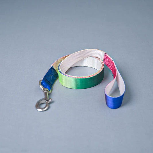 Multicolor Trendy Nylon Leash with Strong Metallic Hook for Dogs
