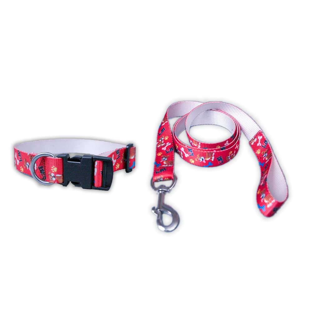 Red Printed Collar and Leash Dog Set