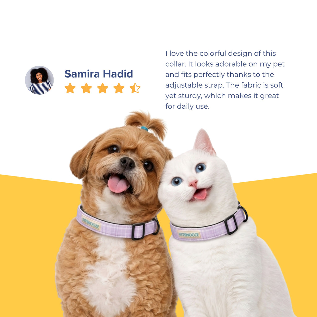 CoolPaws Cooling Collar &amp; Matching Leash