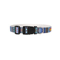 Azure Trail Collar & Matching Leash