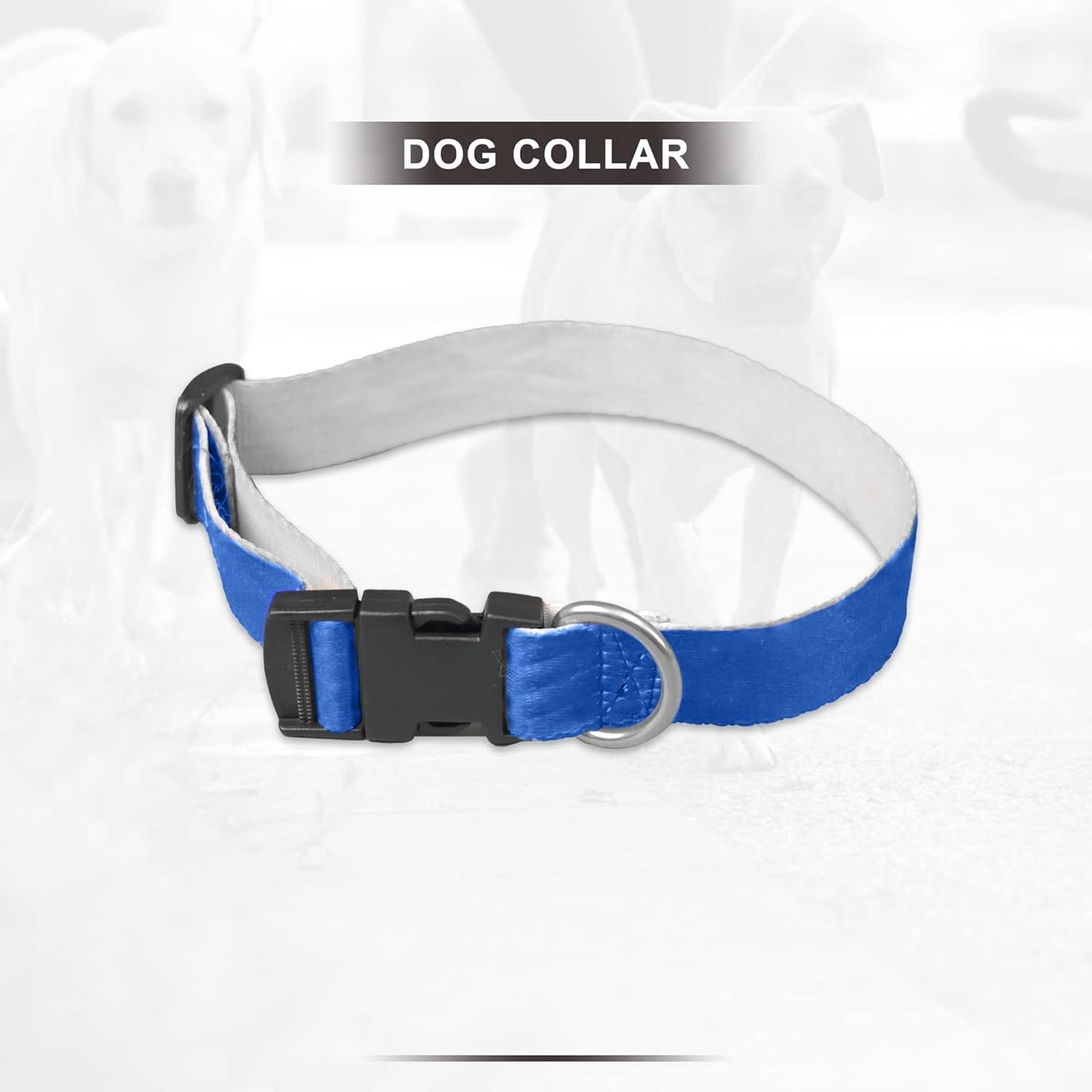 Blue Collar and Leash Dog Set