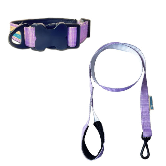 Pink Quick Release Collar and Leash Dog Set