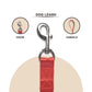 Dark Red Collar and Leash Dog Set