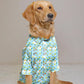 Sky Blue Printed Velvet Shirt for Dog | Soft and Warm