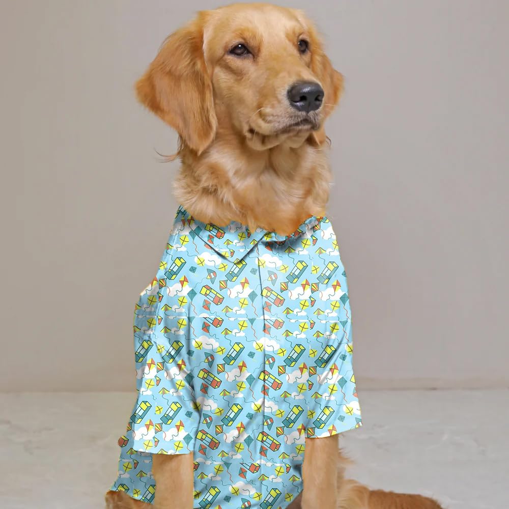Sky Blue Printed Velvet Shirt for Dog | Soft and Warm