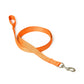 Orange Dog Collar, Leash & Harness Combo Set