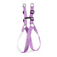 Purple Dog Collar, Leash & Harness Combo Set