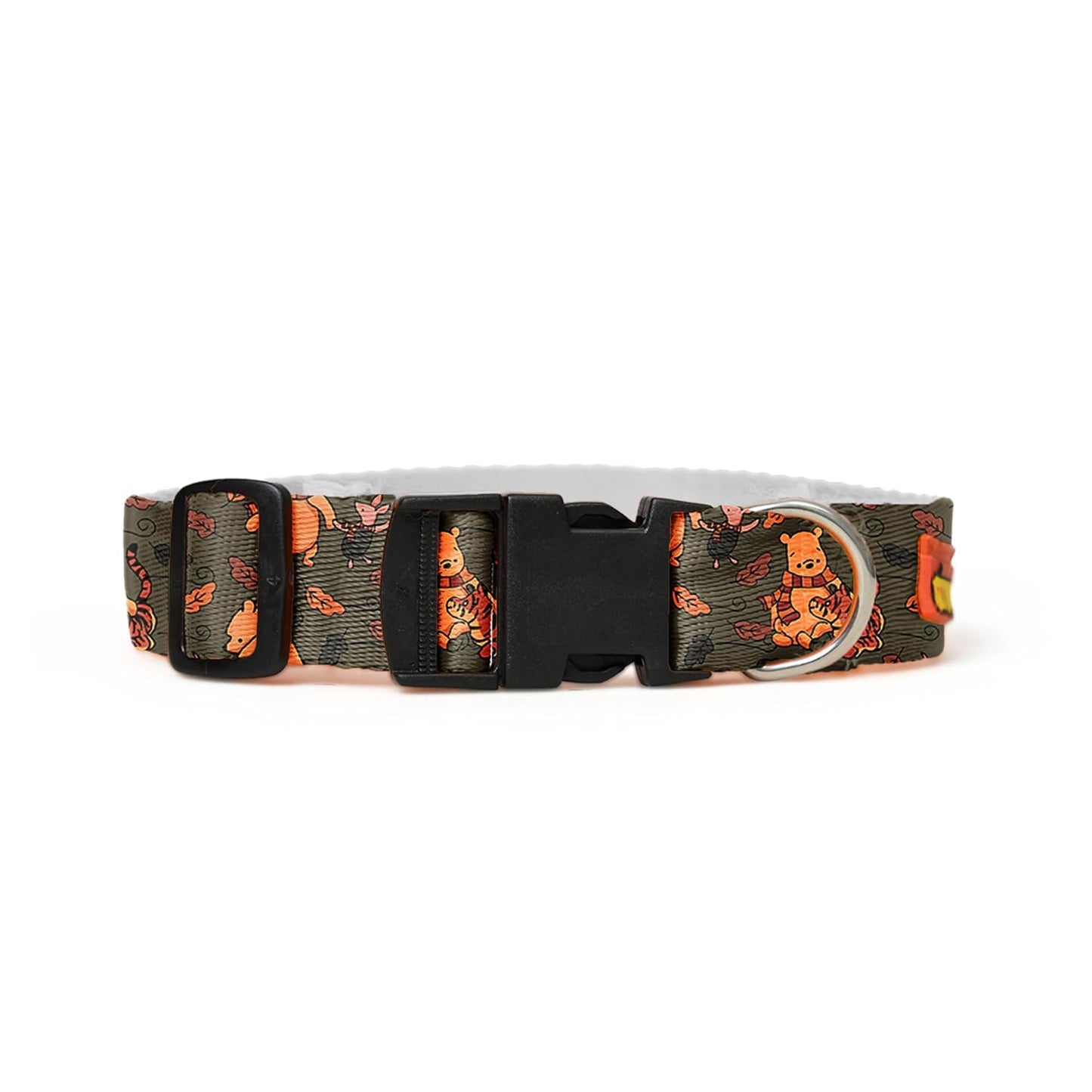 Green Dog Collar, Leash & Harness Combo Set