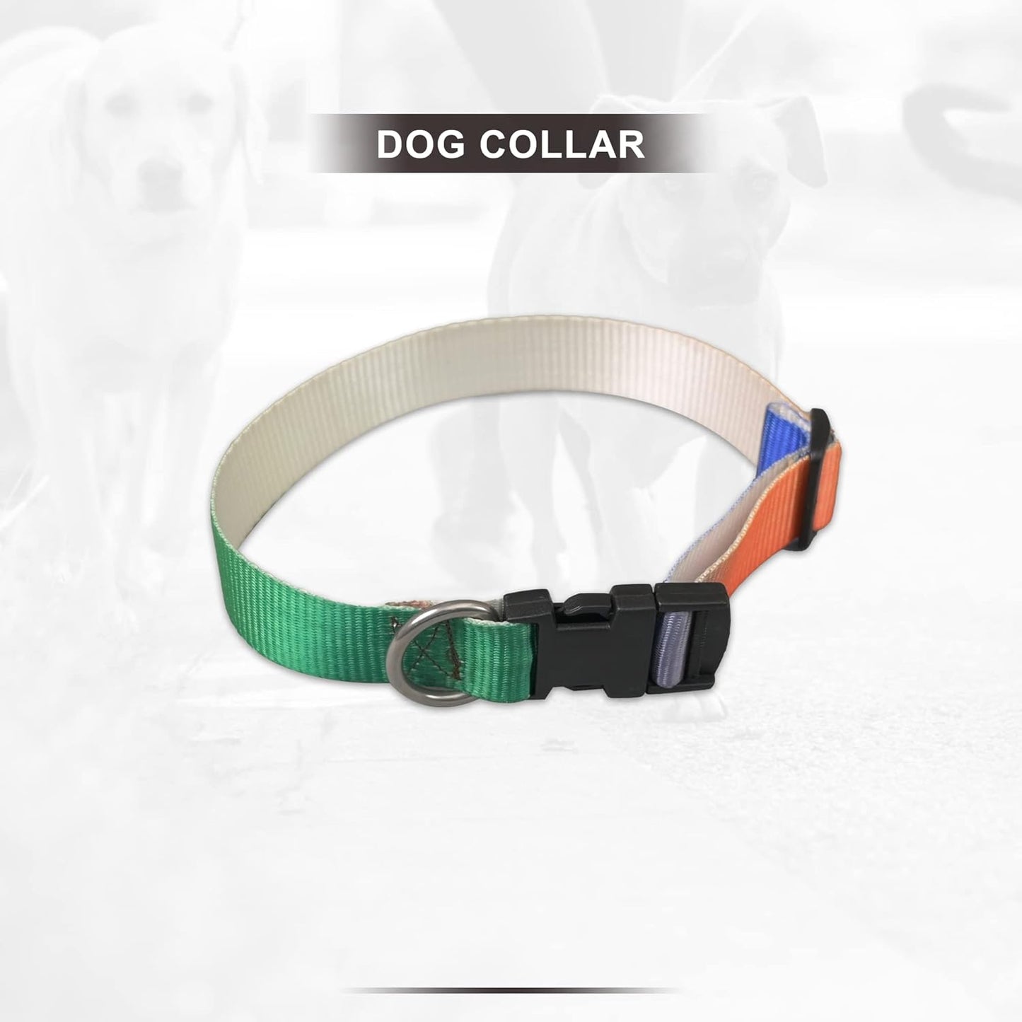 Tricolor Collar and Leash Dog Set