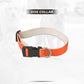 Orange Collar and Leash Dog Set