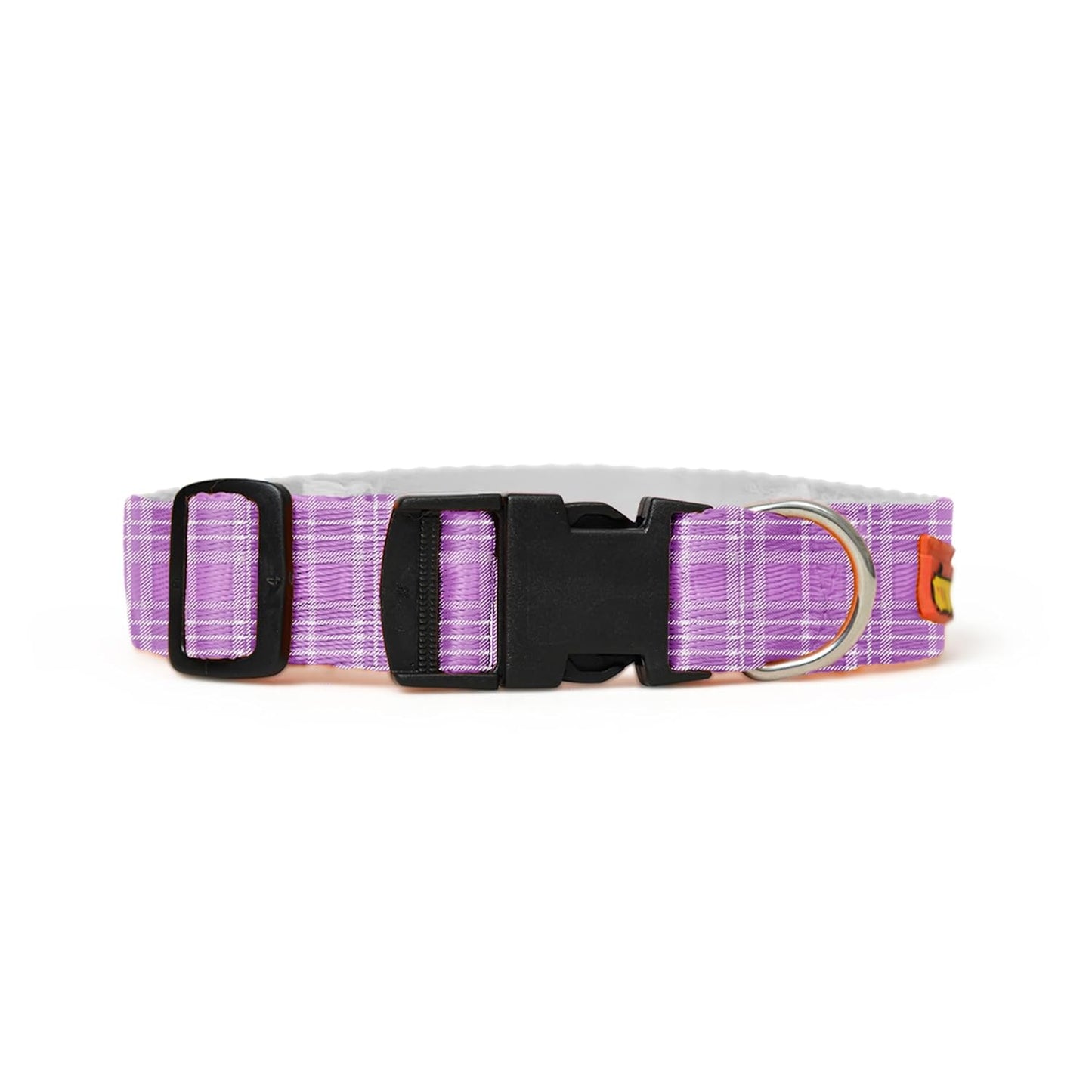 Purple Dog Collar, Leash & Harness Combo Set