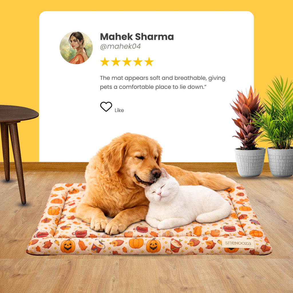 SnoozePad Mat Pumpkin
