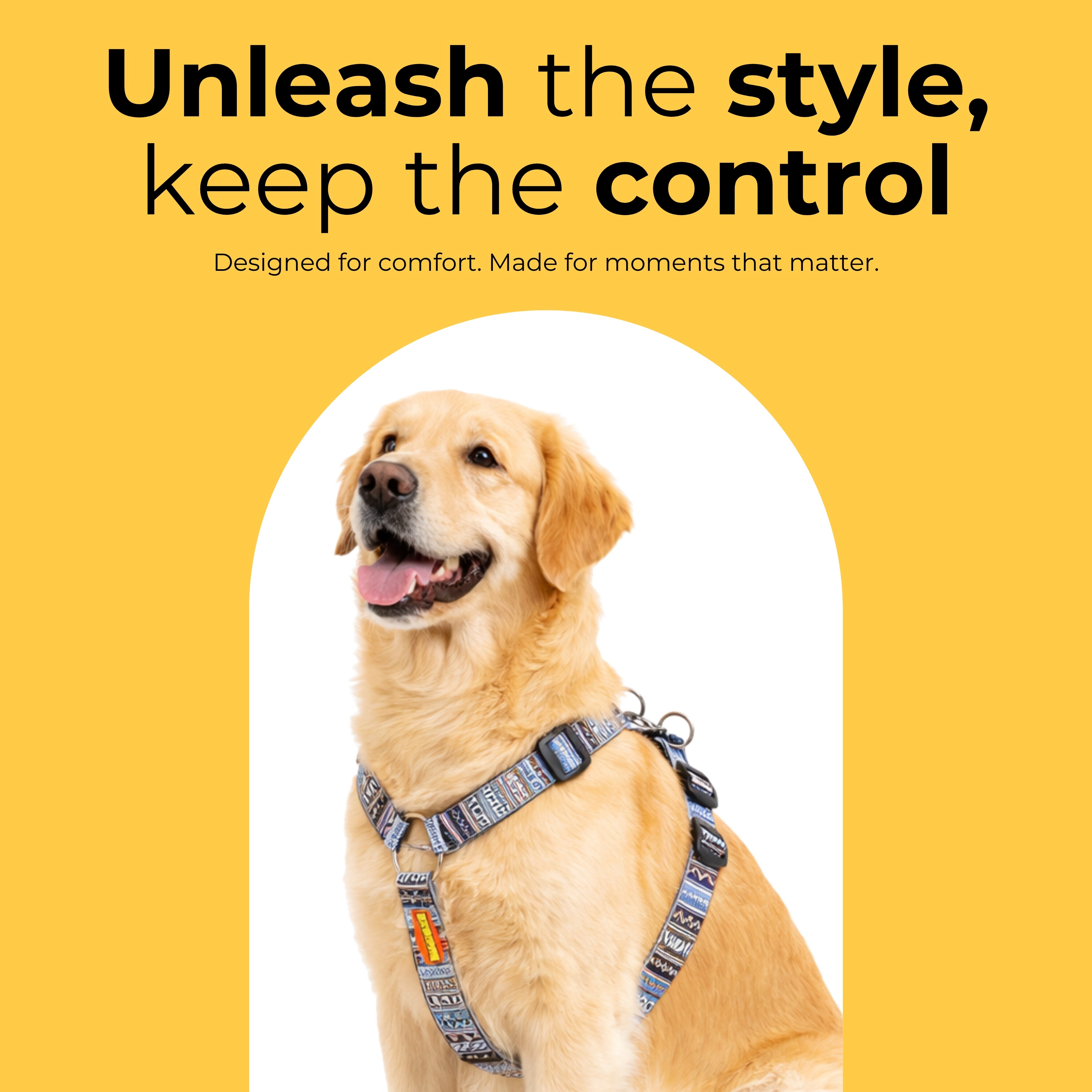 Azure Trail Harness & Matching Leash