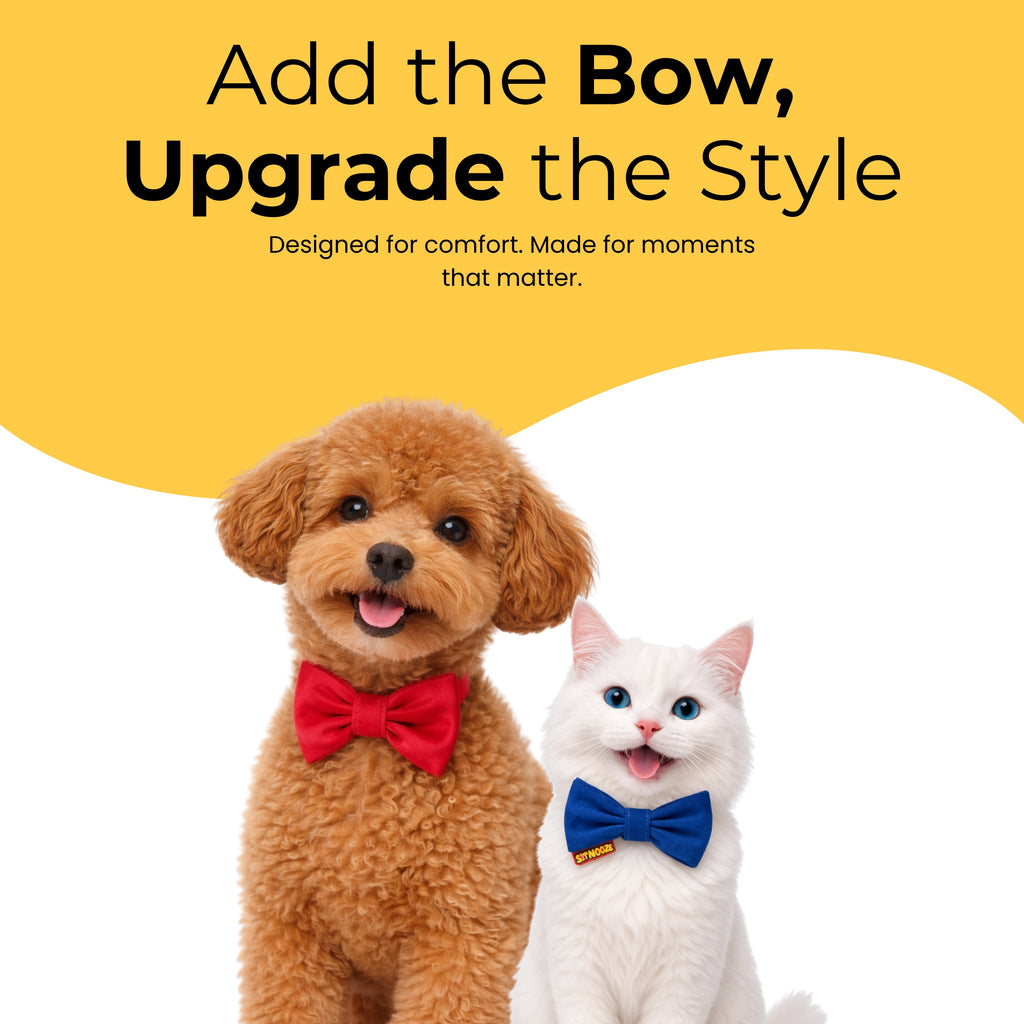 Signature Bow Tie For Dog