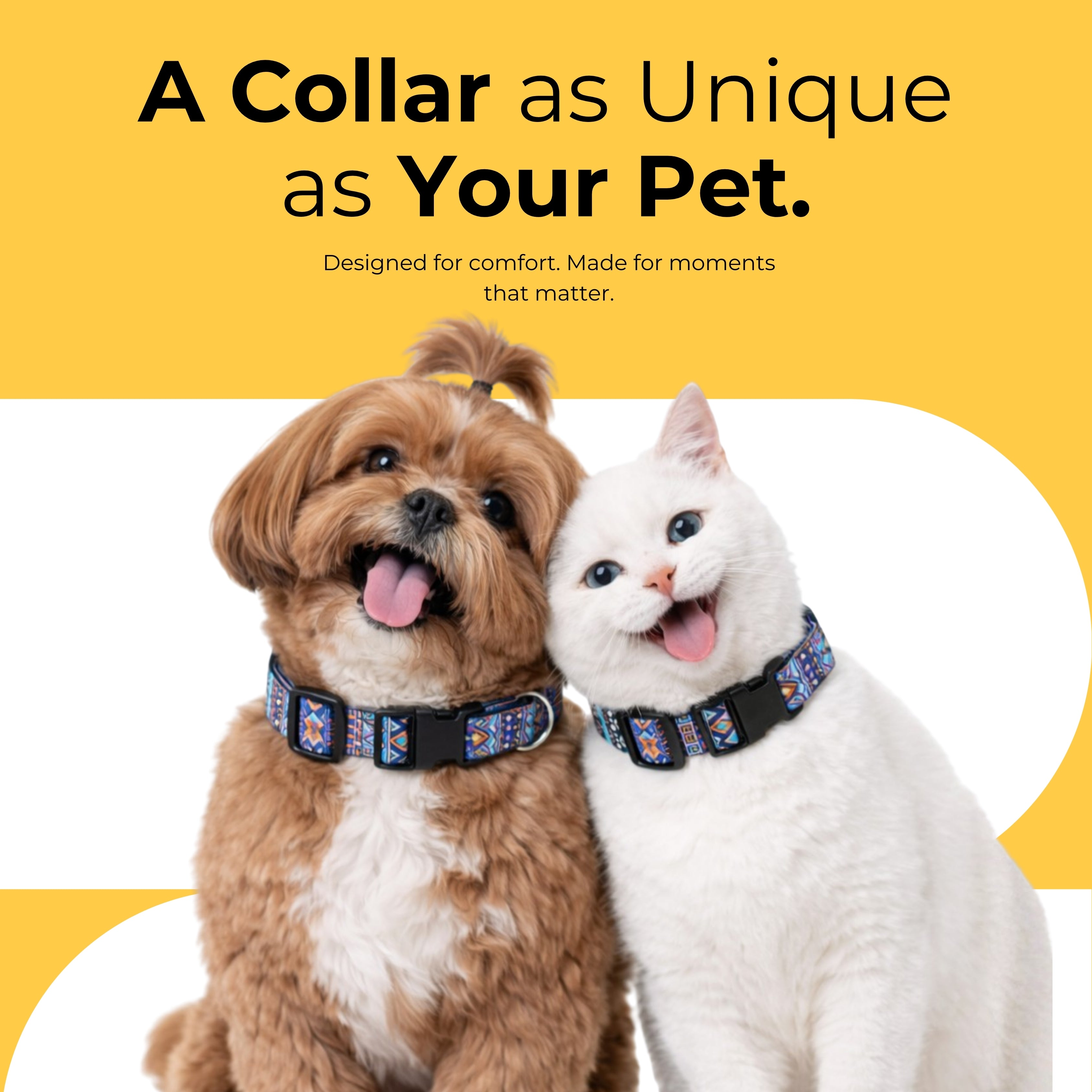 Azure Trail Collar & Matching Leash