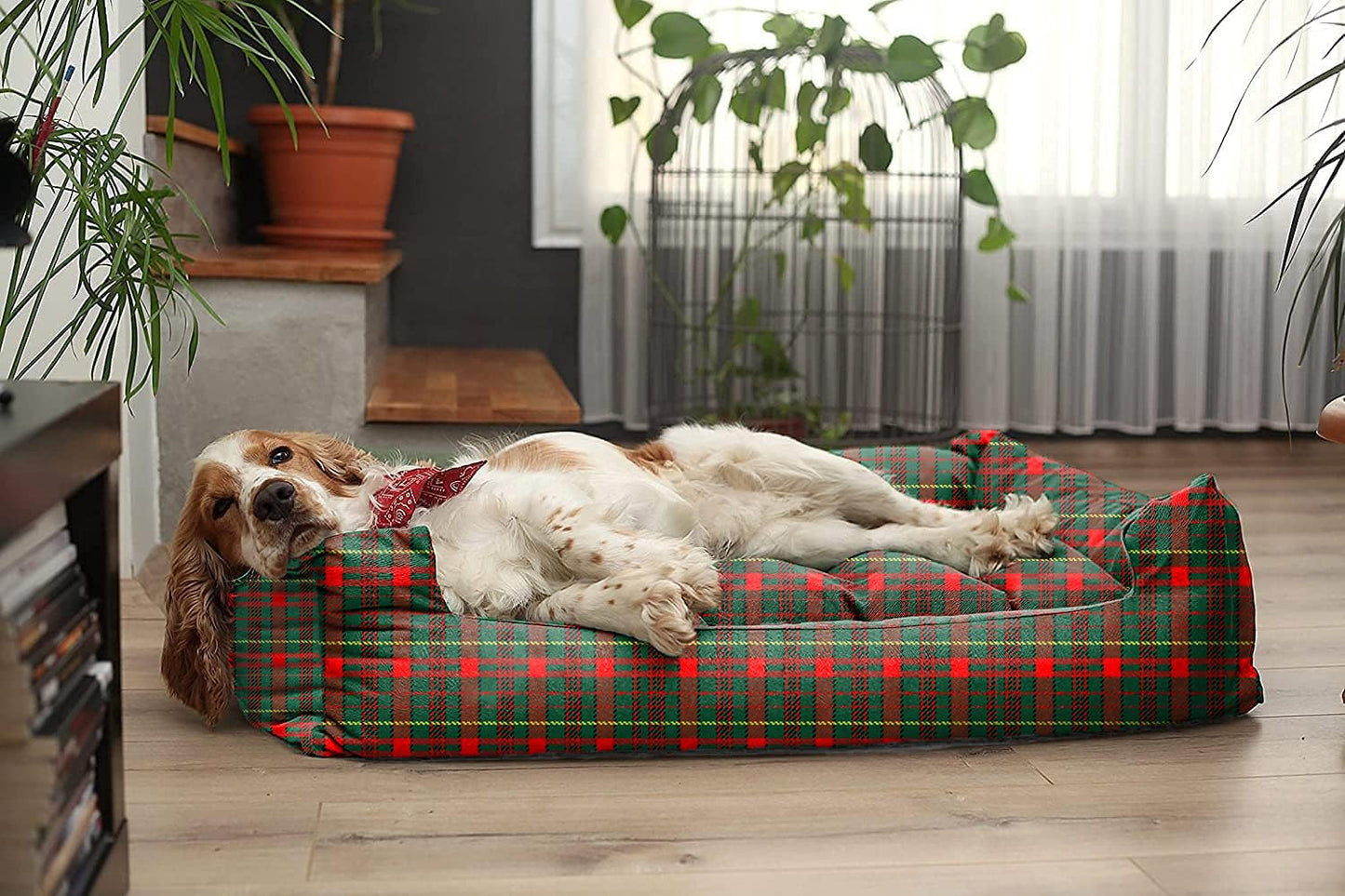 Dark Green Printed Plush Lounger Dog and Cat Bed