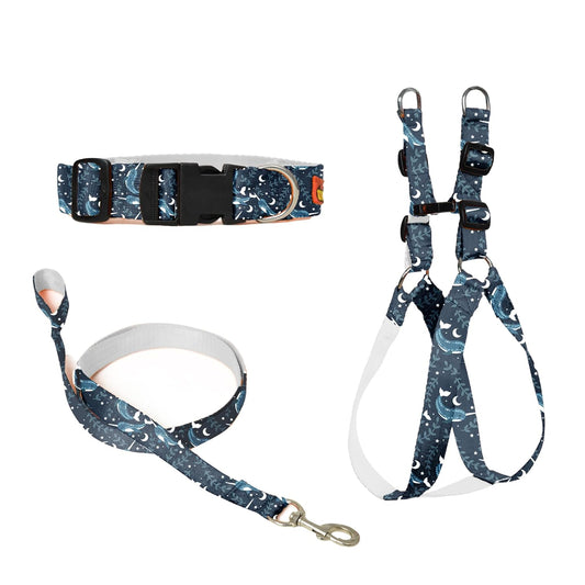 Blue Dog Collar, Leash & Harness Combo Set