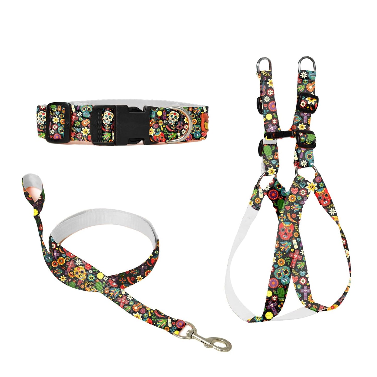 Multicolor Dog Collar, Leash & Harness Combo Set