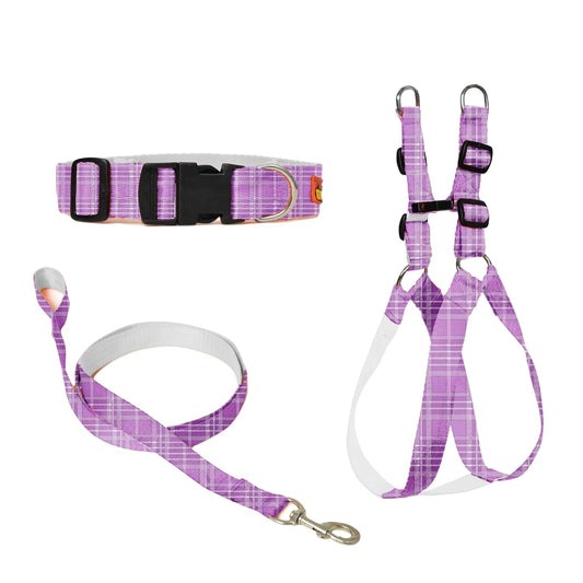 Purple Dog Collar, Leash & Harness Combo Set
