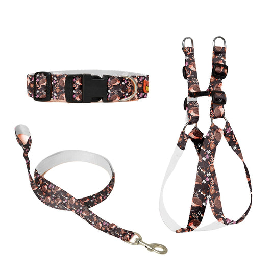 Brown Dog Collar, Leash & Harness Combo Set