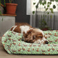 Light Green Plush Lounger Dog and Cat Bed