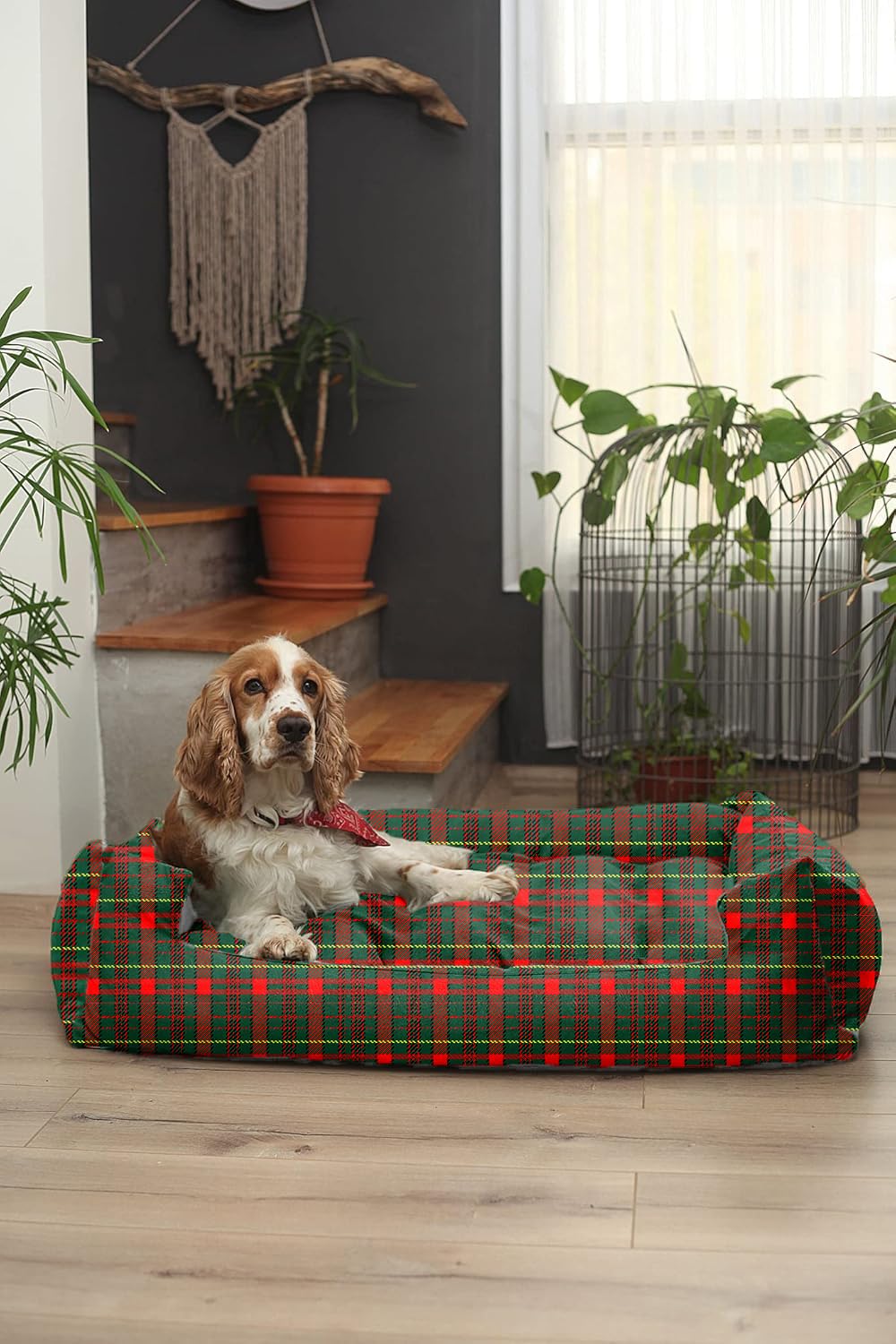 Dark Green Printed Plush Lounger Dog and Cat Bed