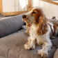 Brown Handmade Luxury and Orthopedic Dog Bed
