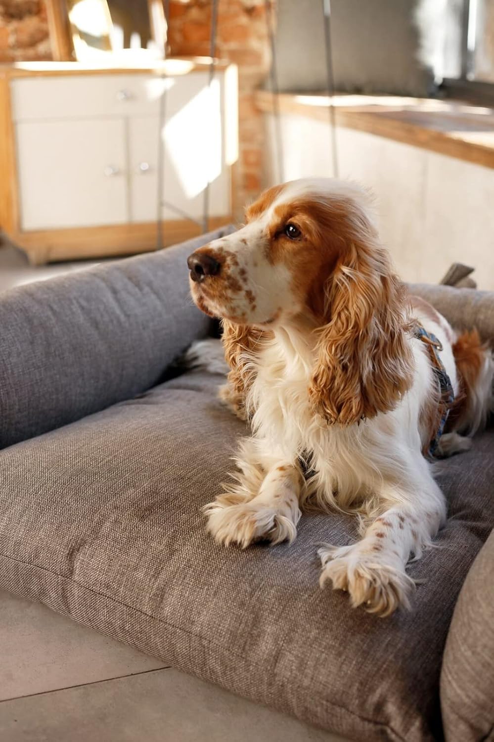 Brown Handmade Luxury and Orthopedic Dog Bed