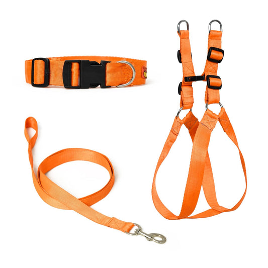 Orange Dog Collar, Leash & Harness Combo Set