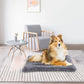 Grey Kennel Super Plush Dog Bed