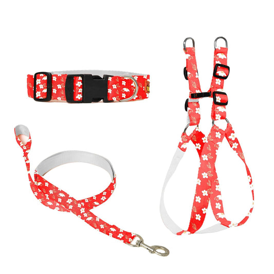 Red Printed Dog Collar, Leash & Harness Combo Set